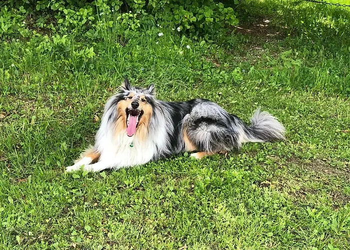 Boutique Loipenhof Hotel 4*